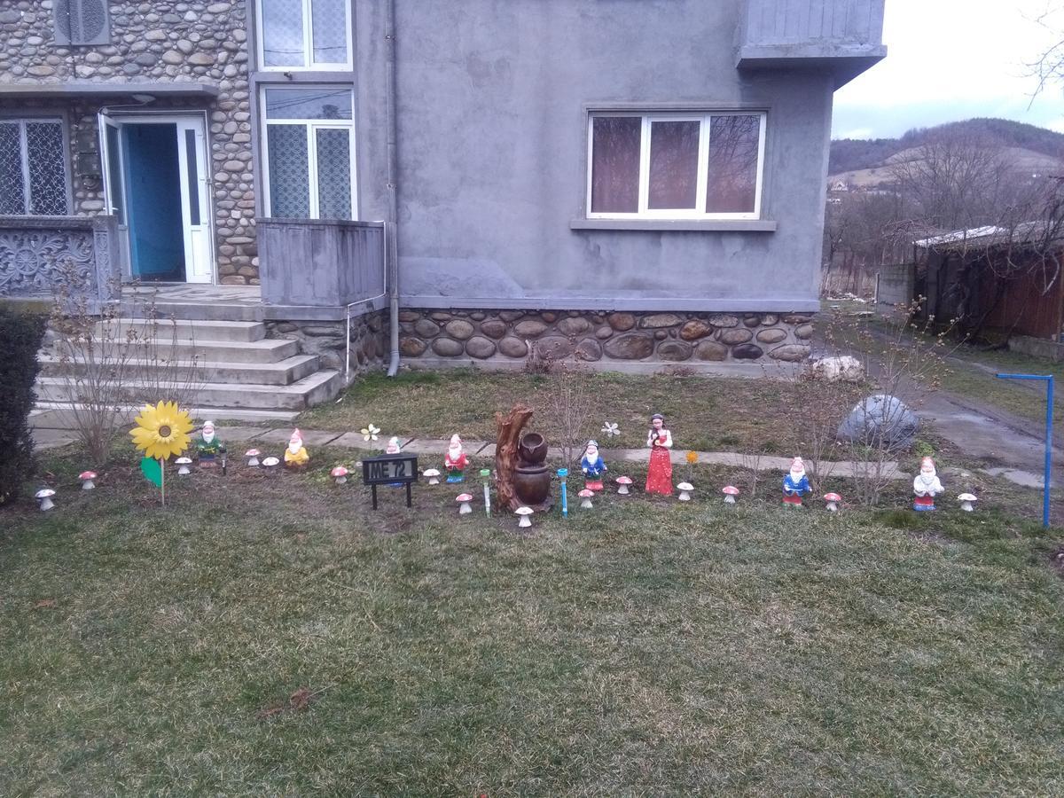 Vila La Izvorul Putinei Haţeg Exterior foto