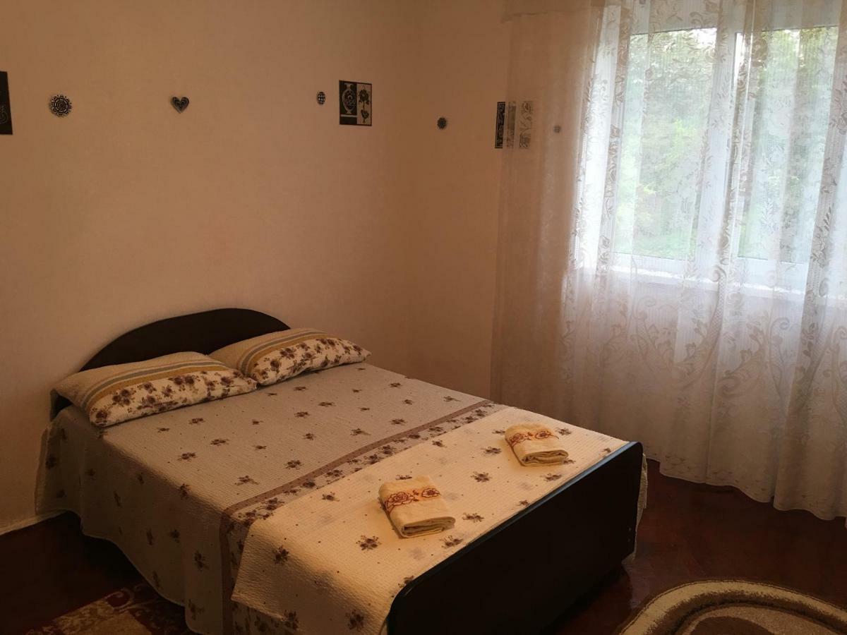 Vila La Izvorul Putinei Haţeg Exterior foto